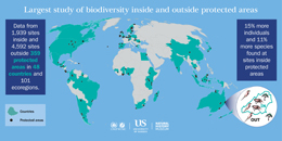 Global diversity infographiclarger